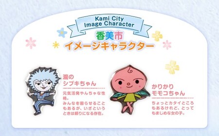 香美市イメージキャラクターピンバッジ（香北町4種セット） ピンバッジ バッジ やなせたかし やなせたかし先生デザイン 香美市限定 ふるさと納税限定 高知県 香美市