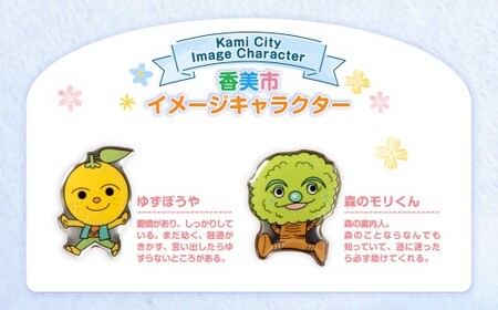 香美市イメージキャラクターピンバッジ（物部町4種セット） ピンバッジ バッジ やなせたかし やなせたかし先生デザイン 香美市限定 ふるさと納税限定 高知県 香美市