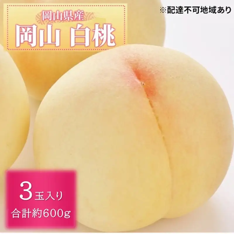 フルーツ定期便 白桃 桃太郎ぶどう シャインマスカット 岡山県産 フルーツ定期便【3回コース】【先行予約】