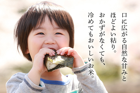 生活応援！獅子米コシヒカリ精米 10kg ×2袋 お米 白米 20kg 産地直送 こしひかり 茨城県 石岡市 B02-091