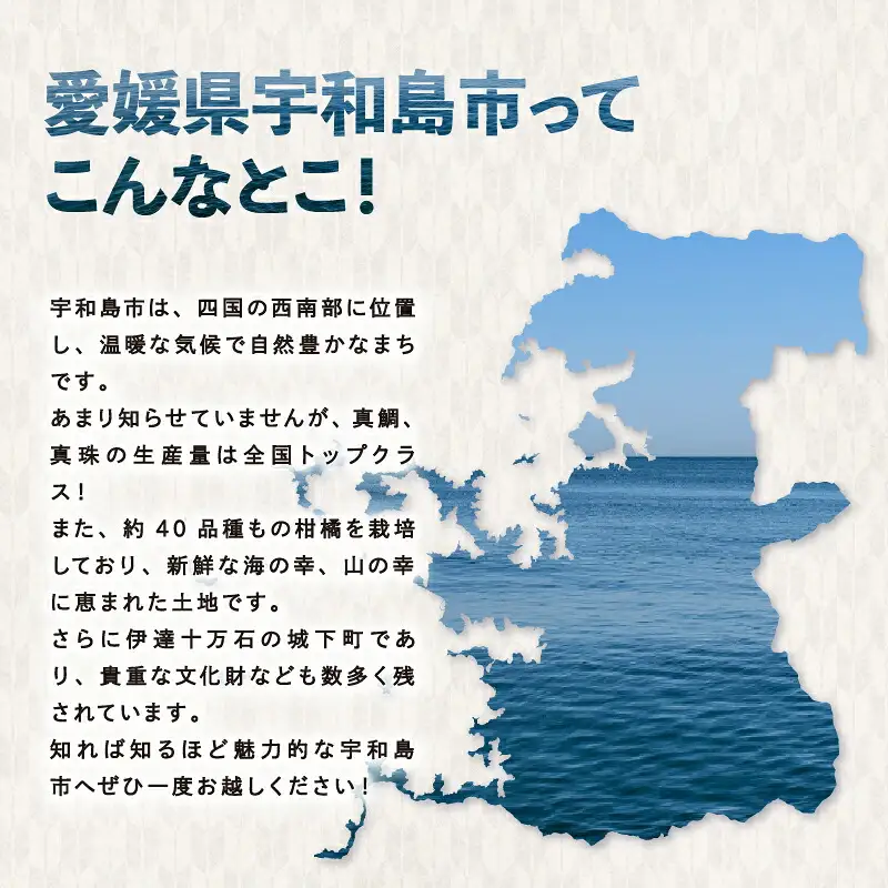 ホタルイカ 沖漬け 100g × 2 パック 宇和島鮮魚 海鮮 烏賊 いか イカ ホタルイカ 沖漬 海の幸 魚介 水産加工品 冷凍 小分け パック お手軽 便利 おつまみ 肴 つまみ ご飯 の お供 愛媛 宇和島 D010-200019