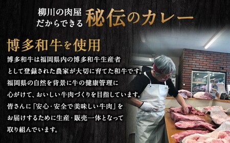 【TVで話題】柳川黄金博多和牛カレー （6箱） カレー レトルト