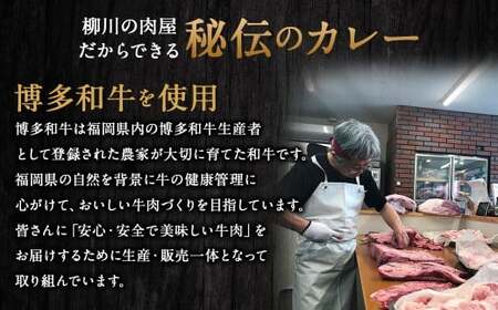 【TVで話題】柳川黄金博多和牛カレー （7箱） カレー レトルト