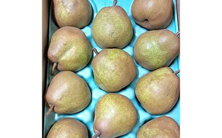 山形県産ラ・フランス3kg（簡易包装・家庭用） FSY-2722