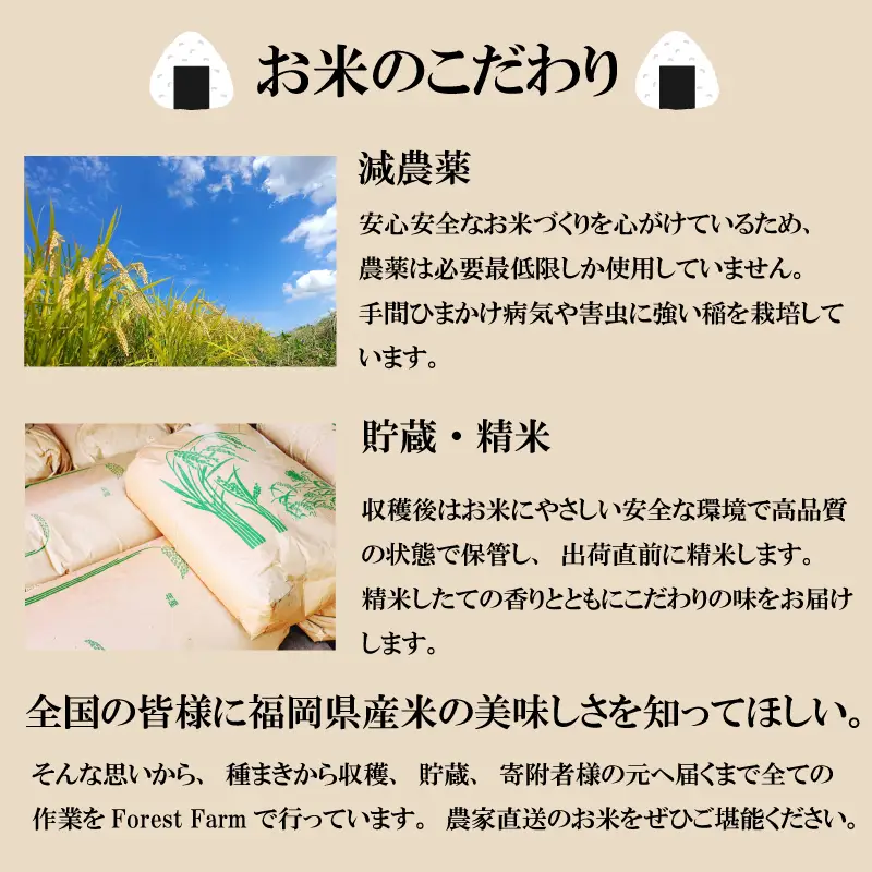 【令和8年産先行予約！2026年10月上旬以降発送 】 夢つくし 5kg |米 FRF
