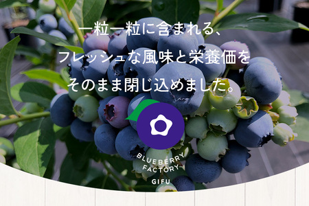 【希少品種食べ比べ】冷凍ブルーベリー ピンクレモネード＆大粒品種 1kgパック(500g×2)  日付指定可 A16-013 ブルーベリーファクトリー