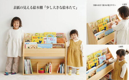 少し大きな絵本たて