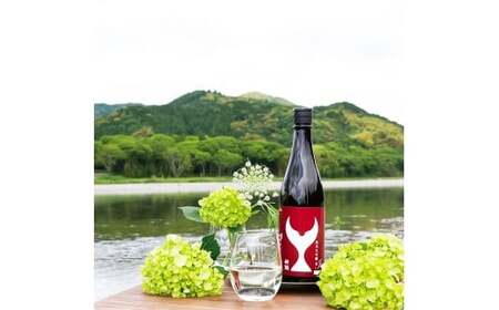 日本酒 酔鯨飲み比べセット 純米大吟醸弥（Ya）象（Sho）丞（Joh）寅（Tora）兵庫山田錦50% 純米吟醸高育54 720ml 各1本 合計6本 ／ お酒【株式会社とさもん】 [BQAE101]
