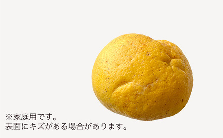 土佐文旦　家庭用2kg（池上果樹園）