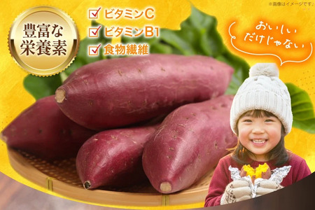 大人気！ さつまいも  なると金時 5kg