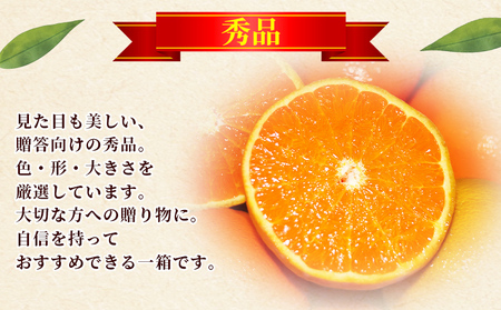 ＜秀品 せとか 約5kg＞蜜柑 ミカン みかん 果物 フルーツ 柑橘 柑橘の女王 果汁 ジューシー 国産 愛媛県産 西予市産 ギフト 贈答用 高級柑橘 特産品 丸二青果 愛媛県 西予市【常温】『2026年2月頃に順次出荷予定』MMY0007