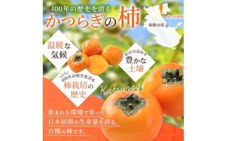 【2026年発送】富有柿 赤秀品 大玉 6個～8個入 こだわり農家厳選【2026年10月末から11月末頃に順次発送予定】 / 柿 フルーツ 果物 かき 和歌山 かつらぎ 農家直送 贈答 【kgr043】 
