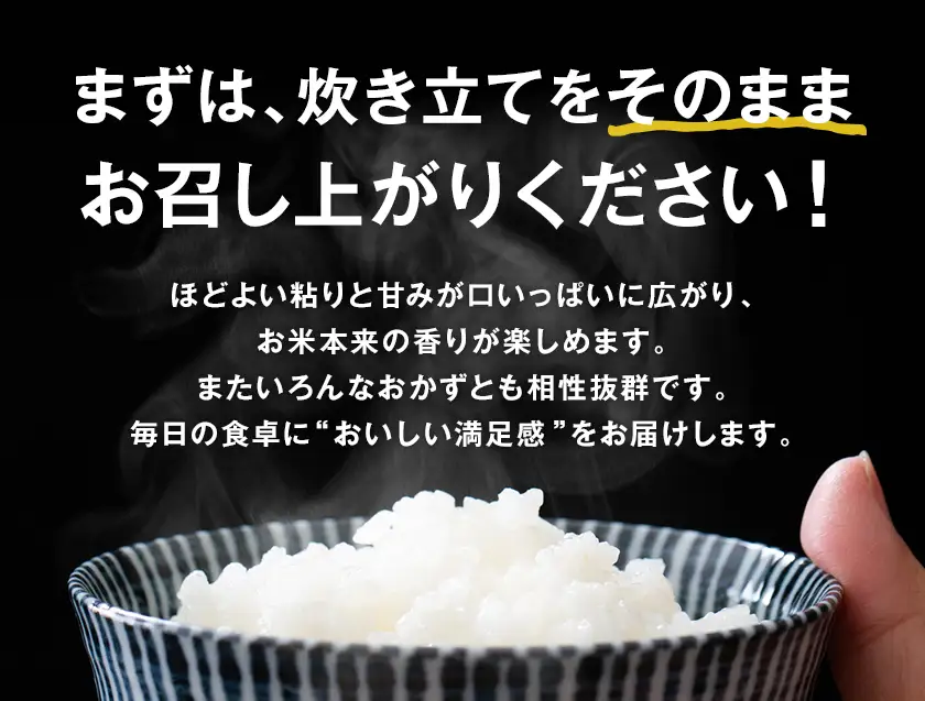 新米 令和8年産 コシヒカリ 5kg 米