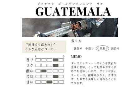 【豆】 【12か月定期便】 グアテマラ ゴールデンパレンシア リオ ウォッシュド （中深煎り） 400g コーヒー 珈琲 豆 まめ マメ