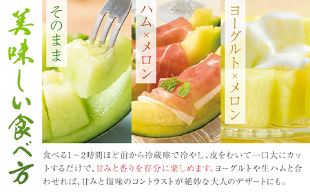 肥後グリーンメロン 約2-2.4kg×2玉【養生市場】 有限会社七城町特産品センター熊本県 菊池市 メロン グリーンメロン 果物 フルーツ 熊本県産 送料無料