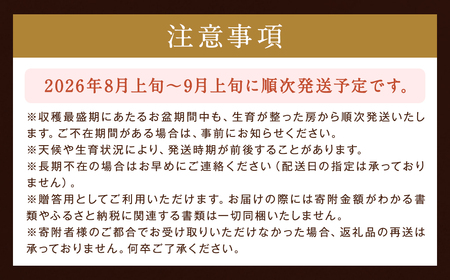 【贈答用】福岡県産 シャインマスカット 糖度18度以上・大粒15g以上 桐箱入り 650g前後（1房）／冷蔵 当日発送【2026年8月上旬?9月上旬発送予定】 葡萄 ぶどう ブドウ マスカット 果物 フルーツ 国産