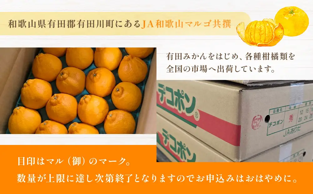 JA和歌山 マルゴ共撰 デコポン 24玉入り Lサイズ 5kg箱