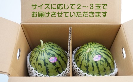 和歌山産小玉すいか ひとりじめ7（2～3玉）≪先行予約2027年5月下旬頃から順次発送予定≫【0140-4】