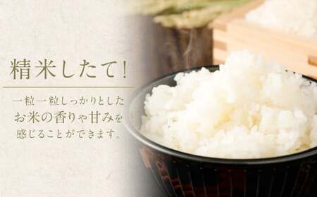 【3回定期便】 筑後の実り 5kg×3回  定期便 米 白米 ブレンド ご飯 国産 贈り物 定期便 福岡県 筑後市