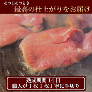 旬熟成　牛タン詰め合わせ(熟成牛大とろたん400g&熟成牛タン旨味塩薄切り1kg)　【11100-2236】