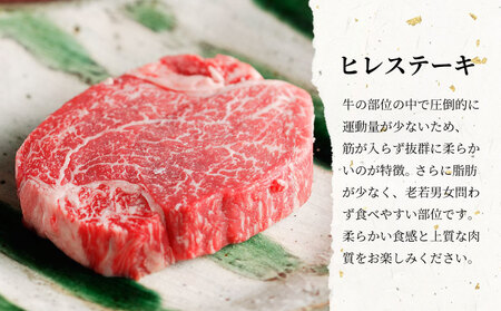 【最短発送】 飛騨牛 最高5等級 シャトーブリアン ステーキ用 300g(150g×2枚) 牛肉 和牛 肉 ステーキ ヒレ フィレ 最高級部位 赤身 肉 牛 牛肉 鉄板焼き お祝い 贈答 ギフト 贈り物 ふるさと納税 東白川村 岐阜 贅沢 霜降り 養老ミート