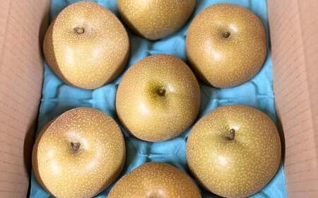【ご家庭用】 九重町産 豊水 約3kg（約6～8個） なし ナシ ほうすい 果物 くだもの フルーツ 【2026年8月下旬-2026年9月上旬発送】