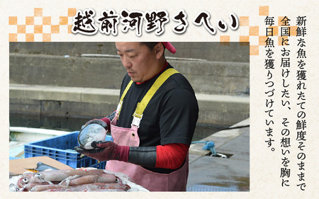 国産 とろさば 一夜干し 3枚 脂がのった さば 干物 天日干し