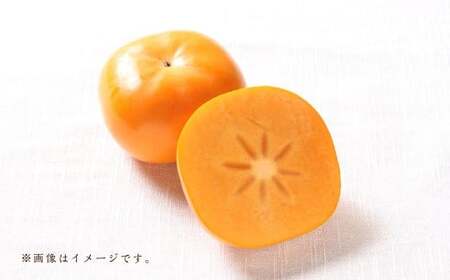 福岡ブランド！ 森部の秋王 セミドライフルーツ 5個セット 自社農園 柿 かき カキ 秋王 セミドライ 