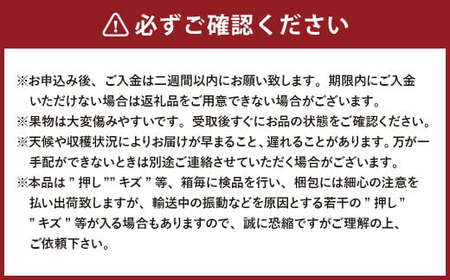 【2回定期便】岡山県産 シャインマスカット 晴王 計2房 （1房600g以上） 【2026年8月下旬発送開始】 ／ 2回 マスカット 葡萄 ぶどう 果物 果実 フルーツ 定期便 岡山県 美咲町 冷蔵