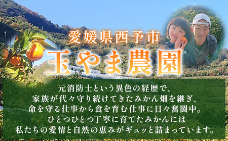 ＜無添加果汁100％みかんジュース 720ml×6本入＞数量限定 蜜柑 ミカン 柑橘 温州みかん オレンジ ジュース ストレートジュース 飲み物 飲料 セット 玉やま農園 愛媛県 西予市【常温】『2026年2月～12月迄に順次出荷予定』MTN0009