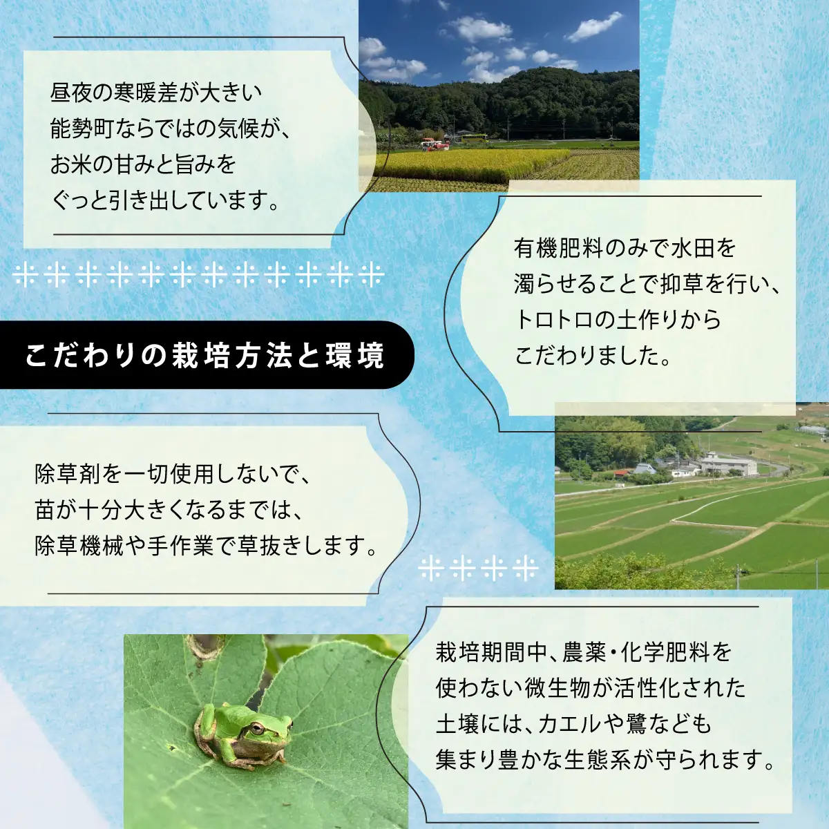 《予約受付中》令和8年産きぬひかり「きねのしずく」玄米 10kg 栽培期間中農薬・化学肥料不使用 | 農園のら | 米 玄米 10kg キヌヒカリ 中農薬 化学肥料不使用 自然栽培 特別栽培 | おにぎり 弁当 産地直送 | 大阪府 能勢町 送料無料