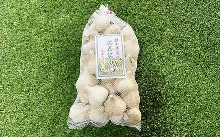 熊本県産 生にんにく 1kg 【2026年11月下旬発送開始】 にんにく ニンニク 生ニンニク 野菜 やさい 熊本県 常温
