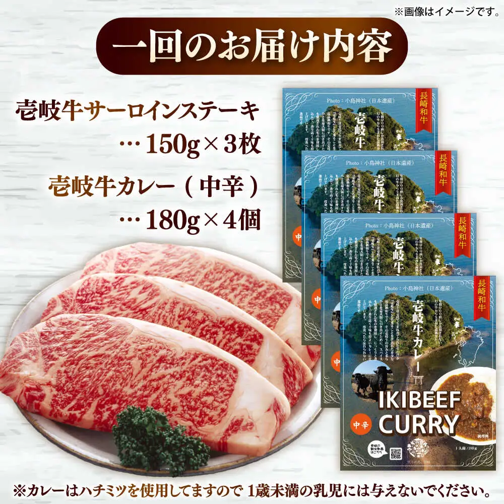 【全6回定期便】サーロインステーキ＆カレー中辛 肉 和牛 [JDW120]