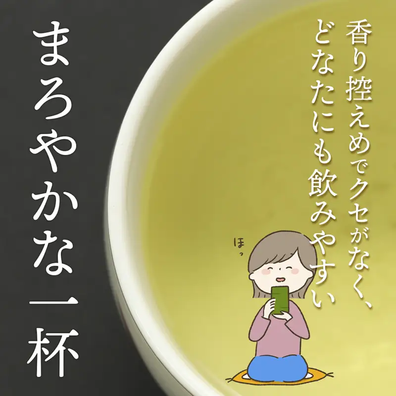 舞鶴茶 青柳（あおやぎ）2袋 600g /300g×2 | 緑茶 茶葉