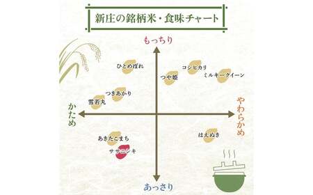 令和7年産 ササニシキ 5kg×4 計20kg 精米 【最上ノ米蔵】 山形県産 ささにしき こめ 米 白米 F3S-2689