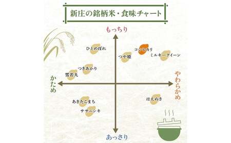 令和7年産 コシヒカリ 5kg×2 計10kg 精米 【最上ノ米蔵】 山形県産 こしひかり こめ 米 白米 F3S-2806