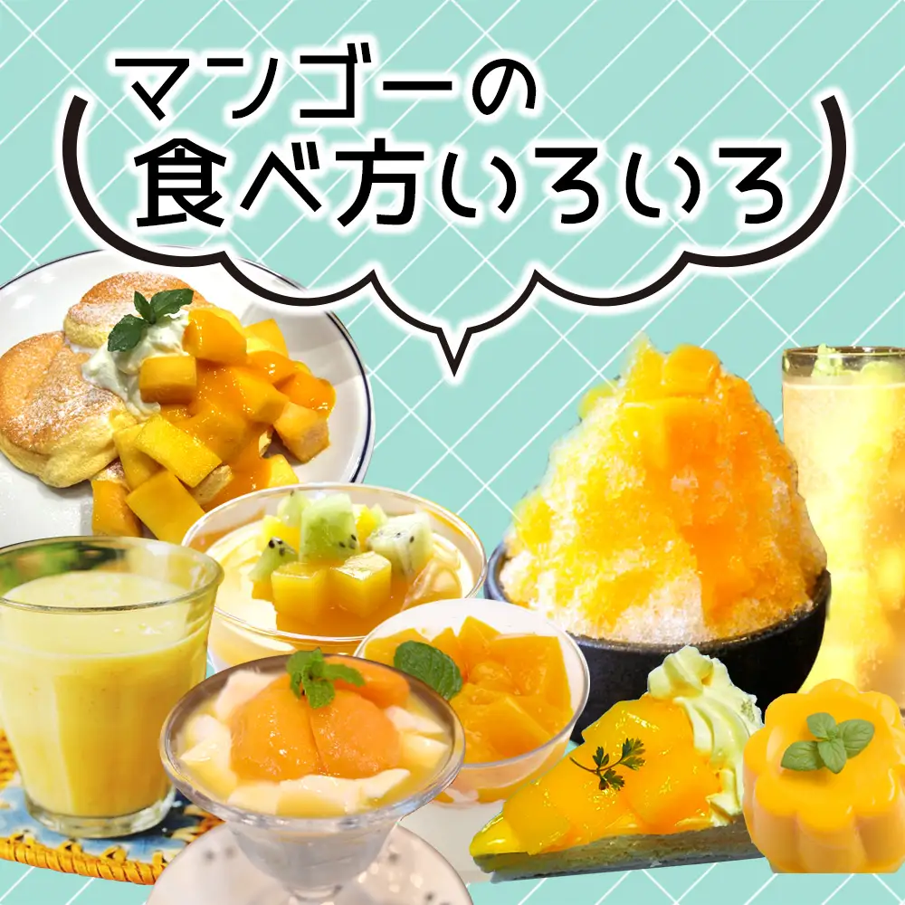 【2027年発送】ご家庭用マンゴー 約2kg（4～6玉）【宜野座村産】
