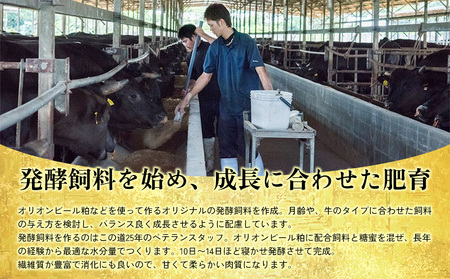 【定期便3回】もとぶ牧場ウインナーギフトセット（170g×4パック） 