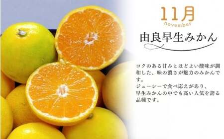 みかん 定期便 3回 計9kg 【超極早生温州・極早生温州・由良早生】みかん【nkmr-tkb0007】