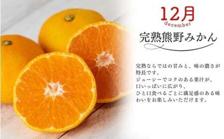 みかん 定期便 3回 計30kg【超極早生温州・極早生温州・早生温州】みかん【nkmr-tkb0018】