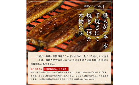 【2026年8月上旬より順次発送】【定期便３回】国産うなぎ長蒲焼（100～119g）4尾セット ITI優秀味覚賞受賞 たれ・山椒付き ウナギ 鰻 静岡 浜松市 【配送不可：離島】