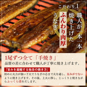 【2026年8月上旬より順次発送】【定期便３回】国産うなぎ長蒲焼（約120g）2尾セット ITI優秀味覚賞受賞 たれ・山椒付き ウナギ 鰻 静岡 浜松市 【配送不可：離島】
