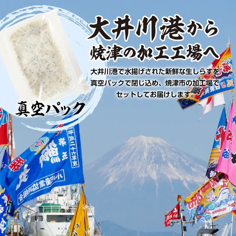 静岡県産お刺身用生しらす：100g×6パック　合計600g (a10-1266)