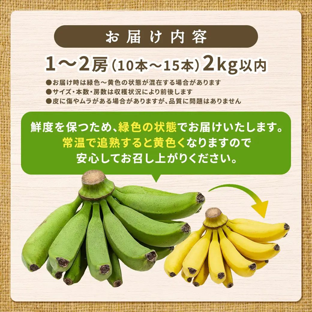 【先行予約】完熟 三尺 バナナ 〈4月より順次発送〉完熟バナナ 国産 フルーツ 果物 奄美大島 宇検村 家庭用 贈答 数量限定 プリン専門店 che