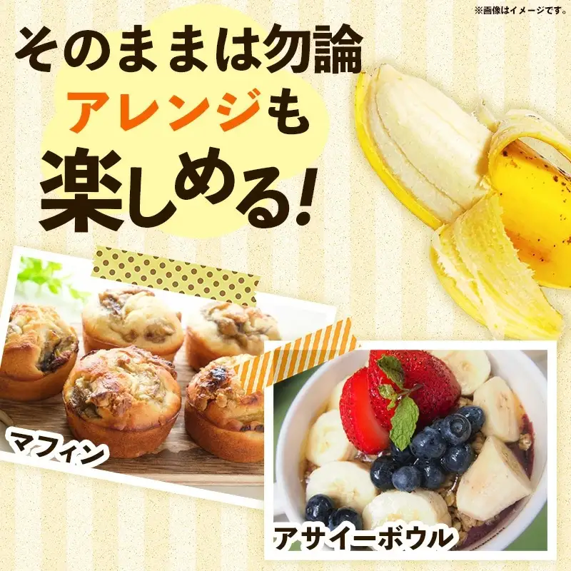 熱帯果樹生産組合のアップルバナナ 約3kg - バナナ ばなな 小ぶり 沖縄県 産地直送 果物 フルーツ 南国 朝食 おすすめ 沖縄県 八重瀬町
