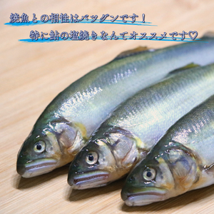 手作り天然塩 【逢母の天塩】200g×5パック【1260-1】