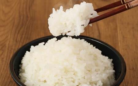 【6ヶ月定期便】 無洗米 食味鑑定士厳選 夢つくし 15kg（5kg×3袋）×6回 計90kg 米 こめ コメ お米 精米 単一原料米 ごはん ご飯 ライス おにぎり