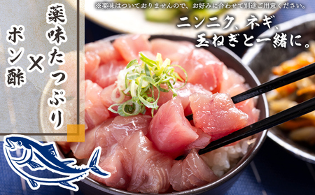 【12回定期便】まぐろ さいころサイズ(150ｇで2～3人前) 150g×8袋 - 定期便 国産 海鮮丼 漬け丼 煮物 鮪 マグロ カット済み 角切り 小分けパック 新鮮 魚介 産地直送 龍馬の海鮮隊 野島水産 高知県 香南市 Wnz-0075