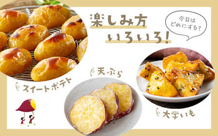 【数量限定】境町産 熟成紅はるか さつまいも 約3kg (SS～S) 土付き K2691