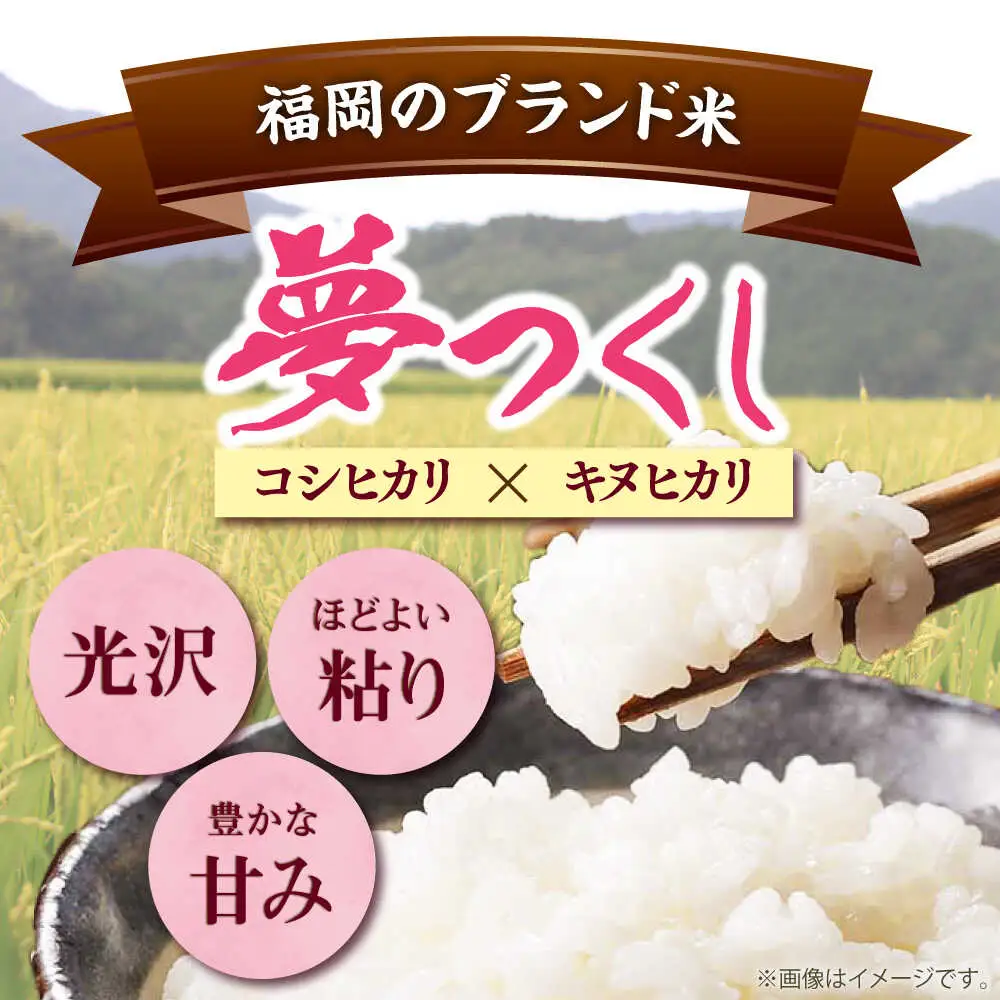 無洗米 令和7年産 夢つくし 5kg ABCO033 無洗